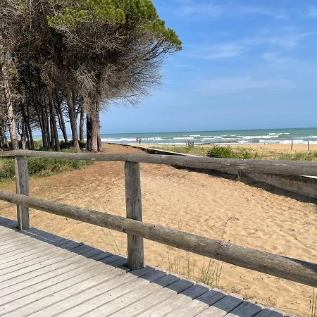 Malibu Apartments Bibione Zewnętrze zdjęcie